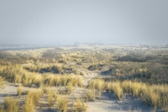 The Transformative Power of Being Present Every Day