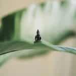 Finding Calm Within: How Presence Creates Inner Peace