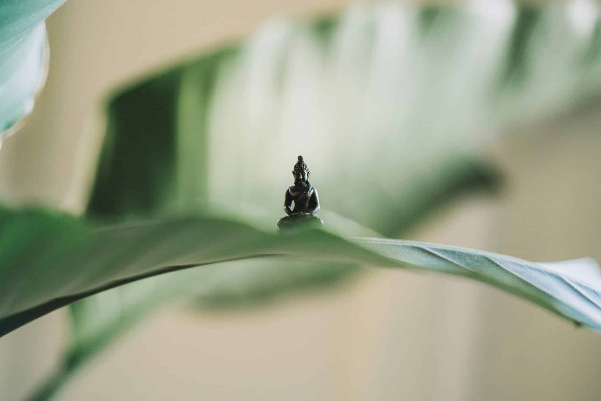 Finding Calm Within: How Presence Creates Inner Peace