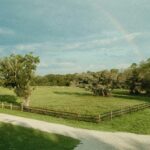 Escaping the Chaos: Embracing a Peaceful, Simple Life