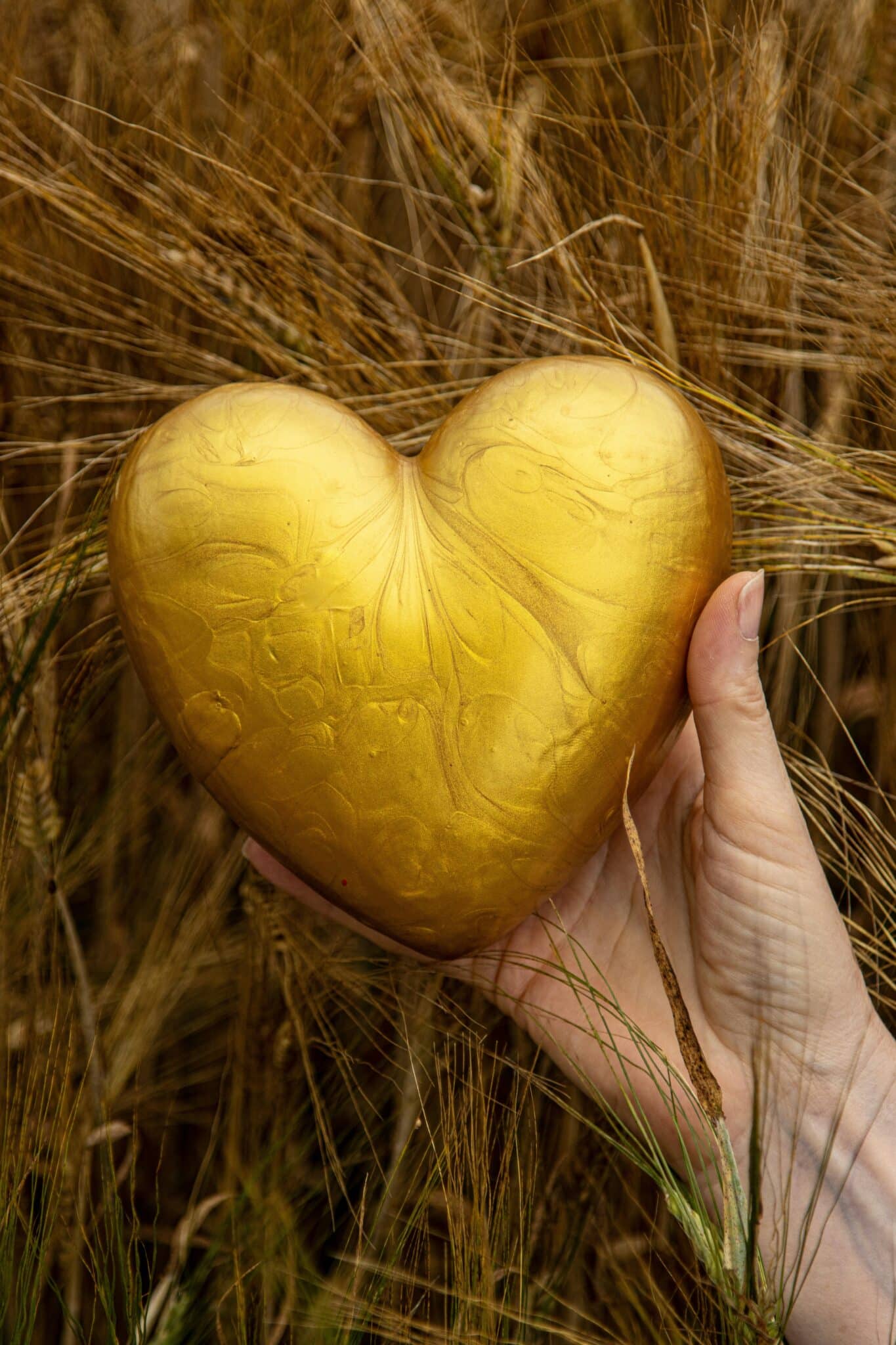 Healing Hearts: How Gratitude Transforms Our Journey