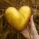 Healing Hearts: How Gratitude Transforms Our Journey