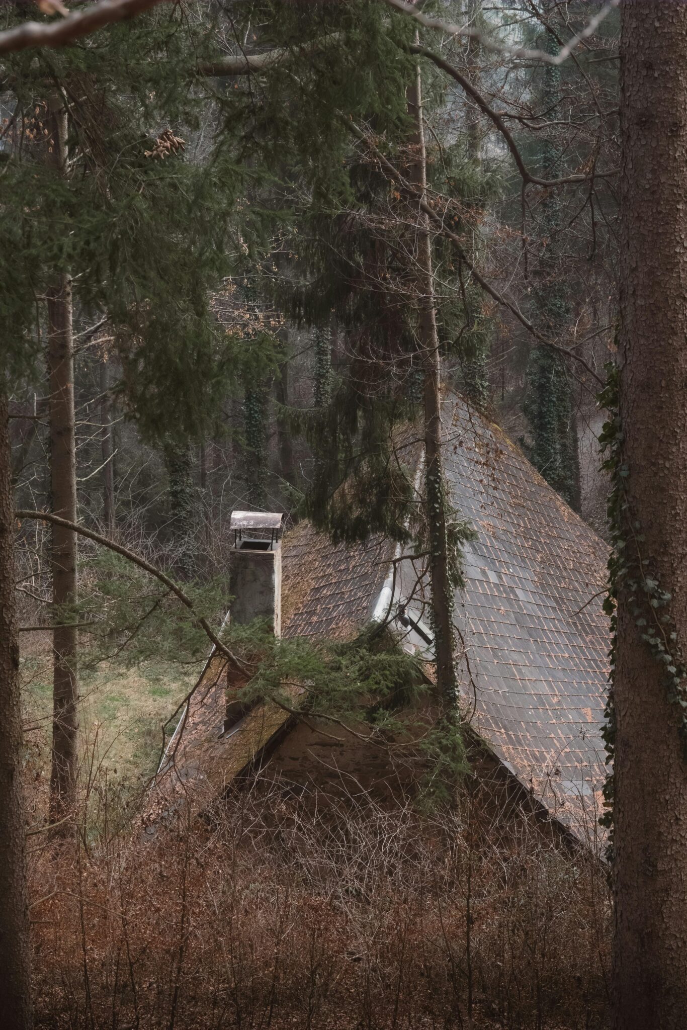 Creating Your Sacred Space: A Cozy Home Sanctuary Guide