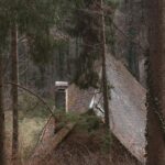 Creating Your Sacred Space: A Cozy Home Sanctuary Guide