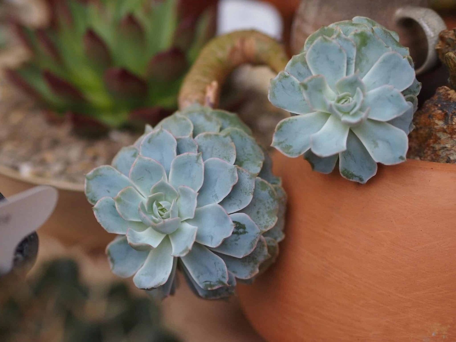 Growing Together: Embracing Change with Heart and Hope