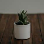 Embracing Feedback: A Heartfelt Path to Self-Growth