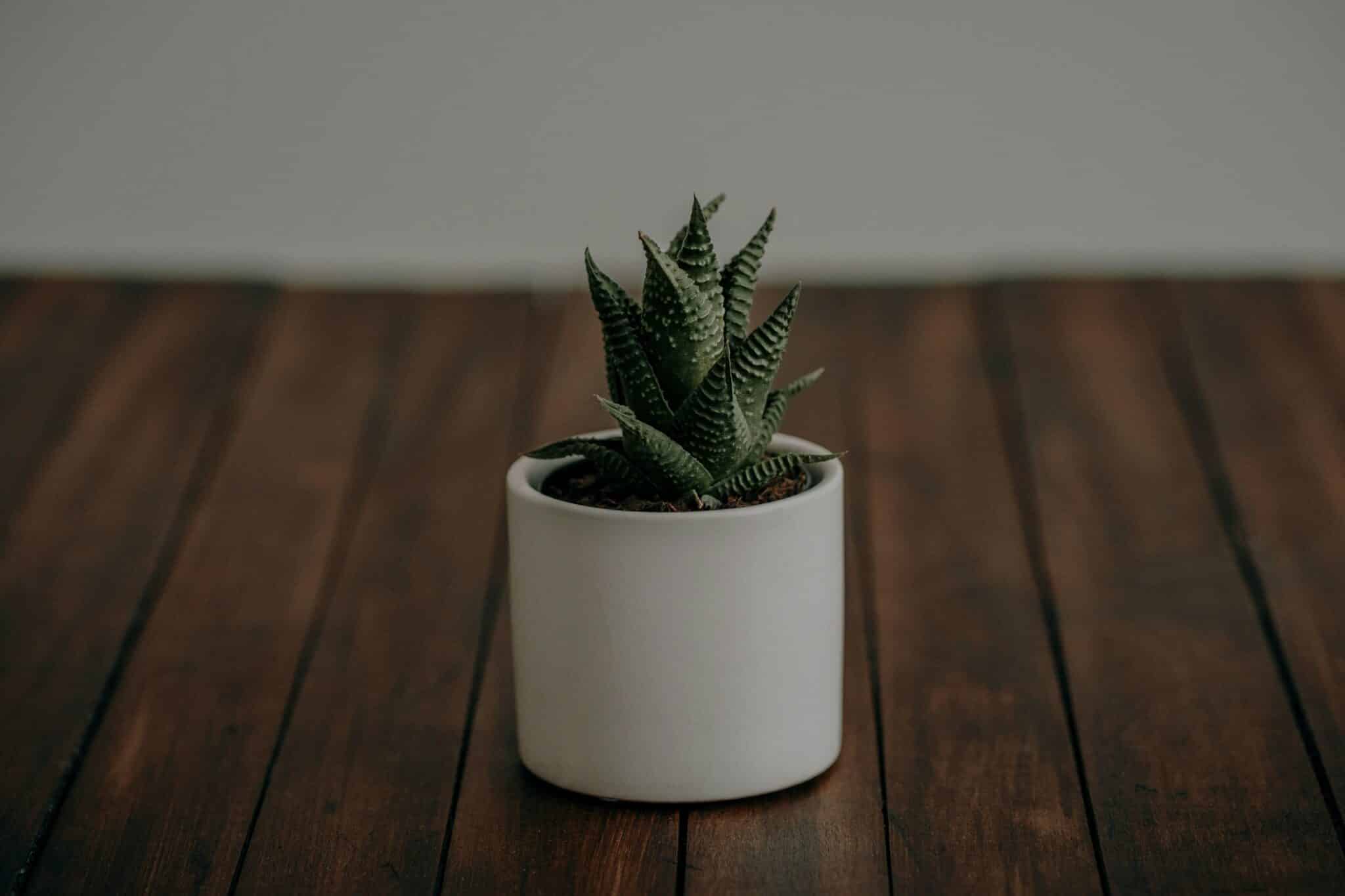 Embracing Feedback: A Heartfelt Path to Self-Growth