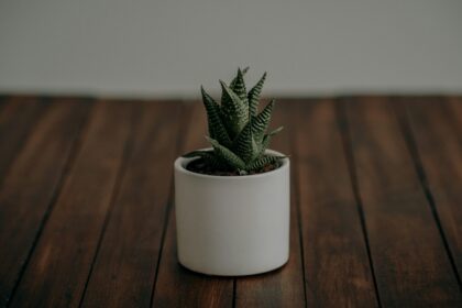 Embracing Feedback: A Heartfelt Path to Self-Growth