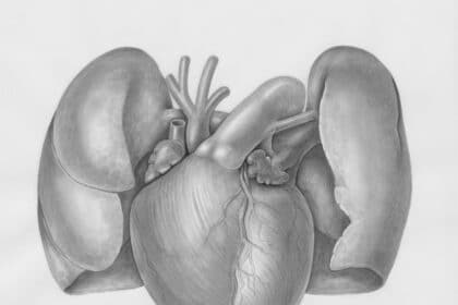 When Hearts Hurt: Exploring the Link Between Body & Pain