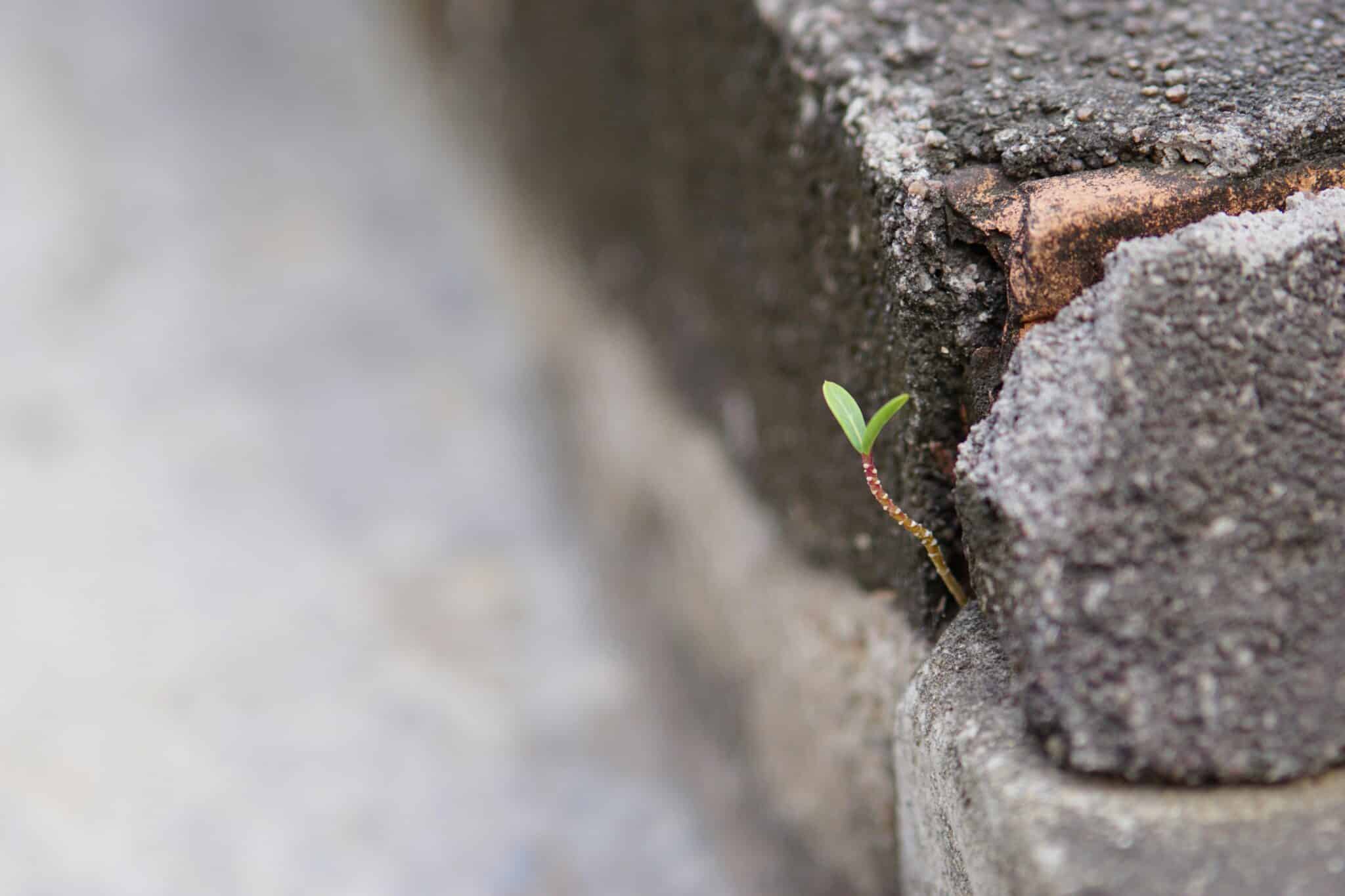 Setting Boundaries: The Key to Your True Growth Journey