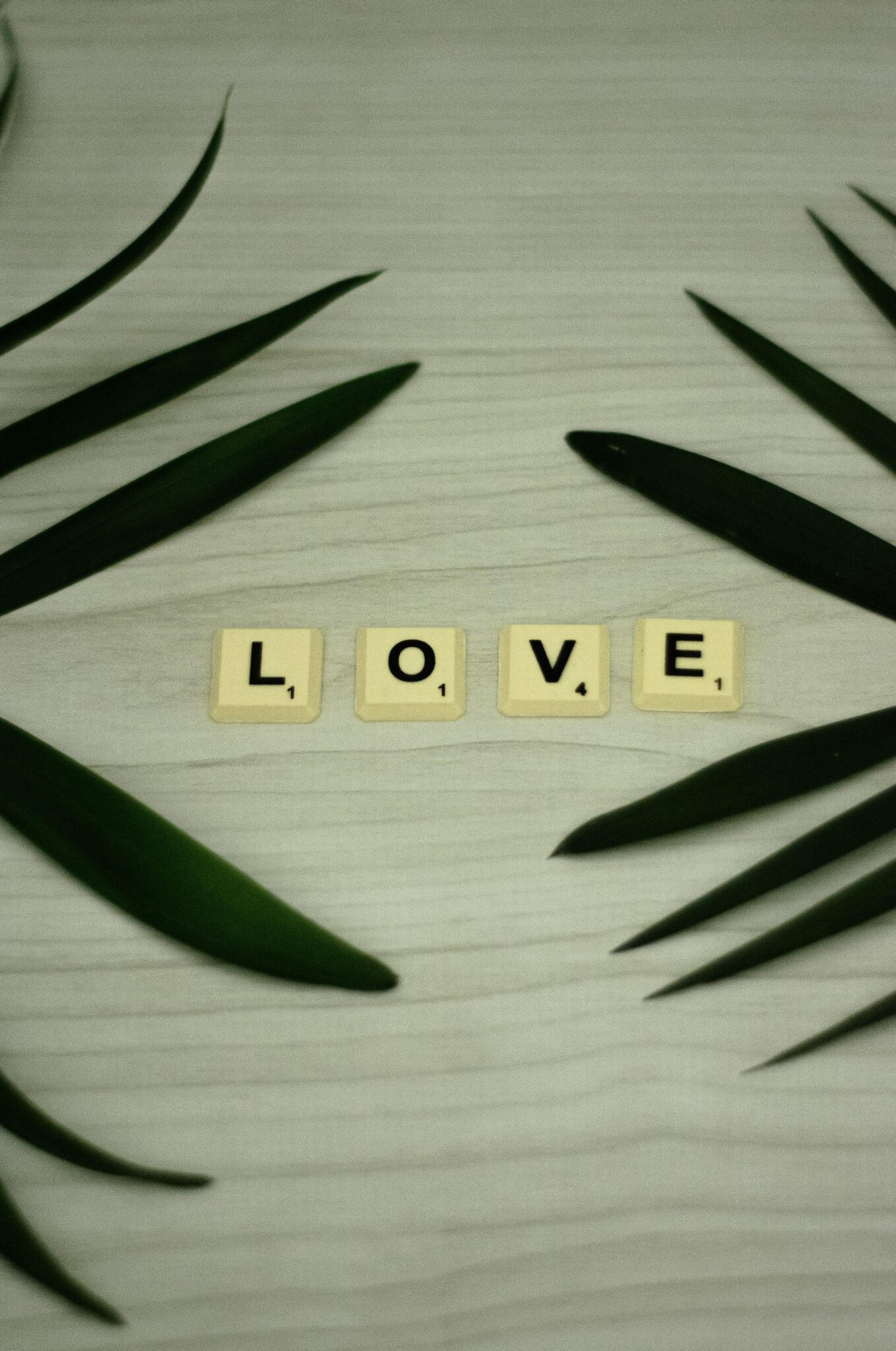 The Heartfelt Impact of Appreciation in Lasting Love