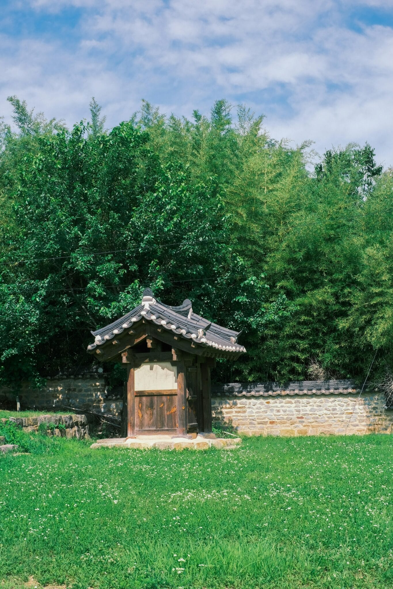 Finding Peace: How Nature Became My True Healing Sanctuary