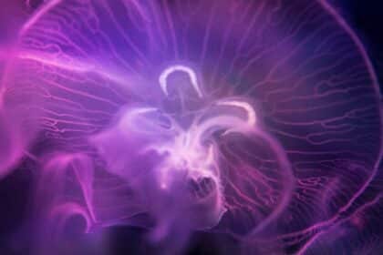 Awaken Your Soul: Connecting Deeply Through Movement