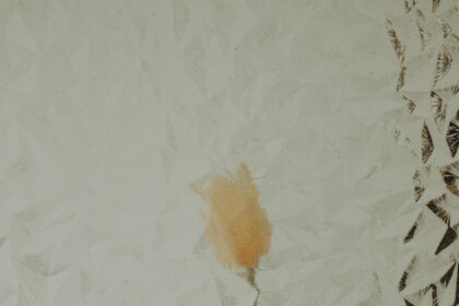 Letting Go: Embrace Trust and Surrender to Life’s Flow