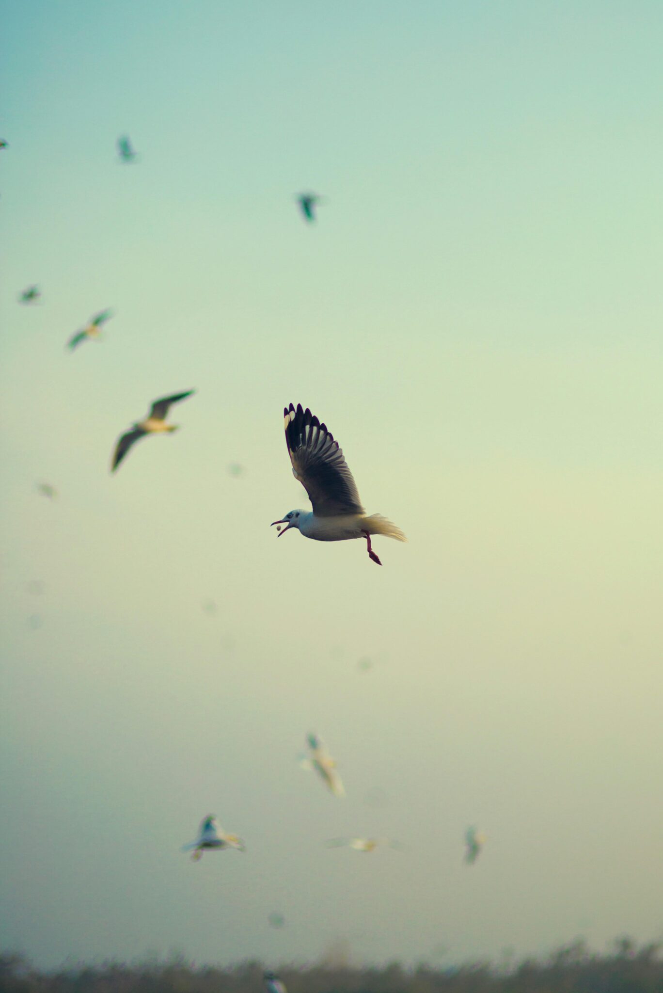 Finding Freedom: Letting Go of Perfectionism for Wholeness