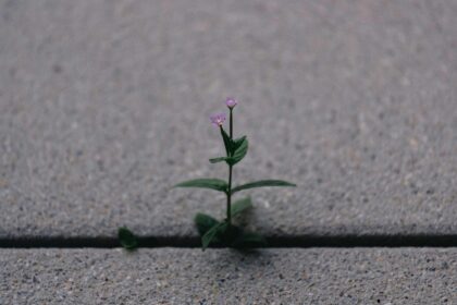 Harnessing Affirmations: Your Path to Unshakable Resilience