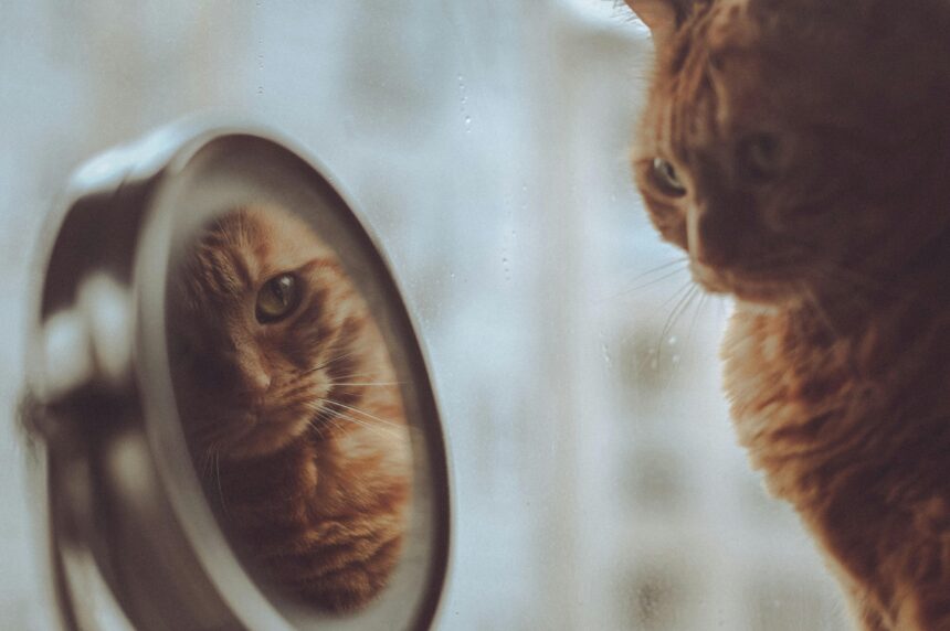 Letting Go of Perfectionism: Embrace Your True Wholeness