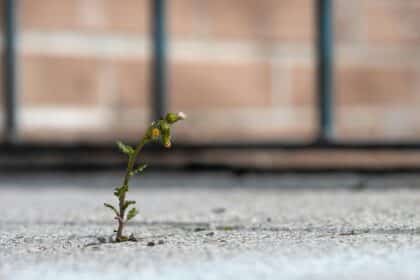 Building Strength Within: Why Resilience Fuels Your Growth