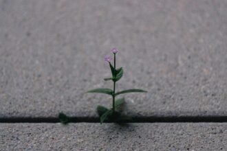 Nurturing Hearts: Crafting a Safe Space for Emotional Growth