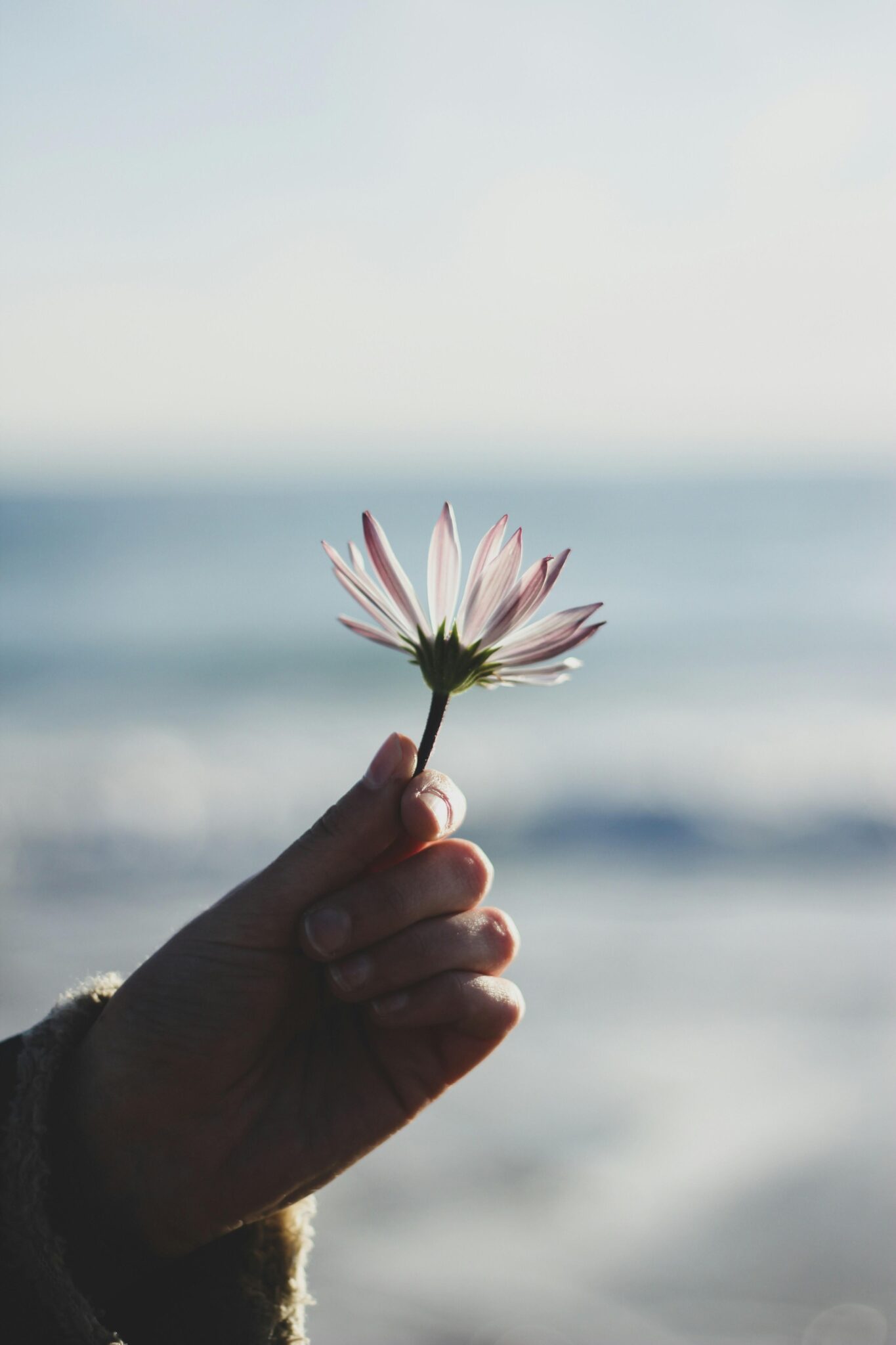 The Healing Strength in Letting Go for True Freedom