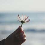 The Healing Strength in Letting Go for True Freedom