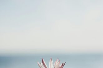 The Healing Strength in Letting Go for True Freedom