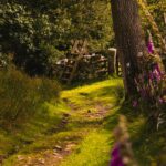 Embrace Now: Affirmations to Deepen Mindfulness Today