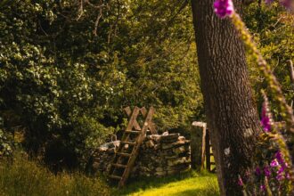 Embrace Now: Affirmations to Deepen Mindfulness Today