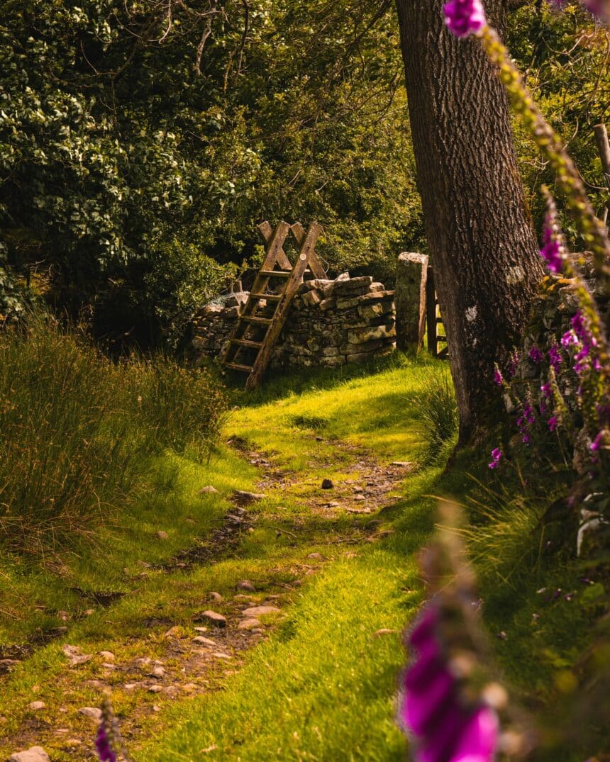 Embrace Now: Affirmations to Deepen Mindfulness Today