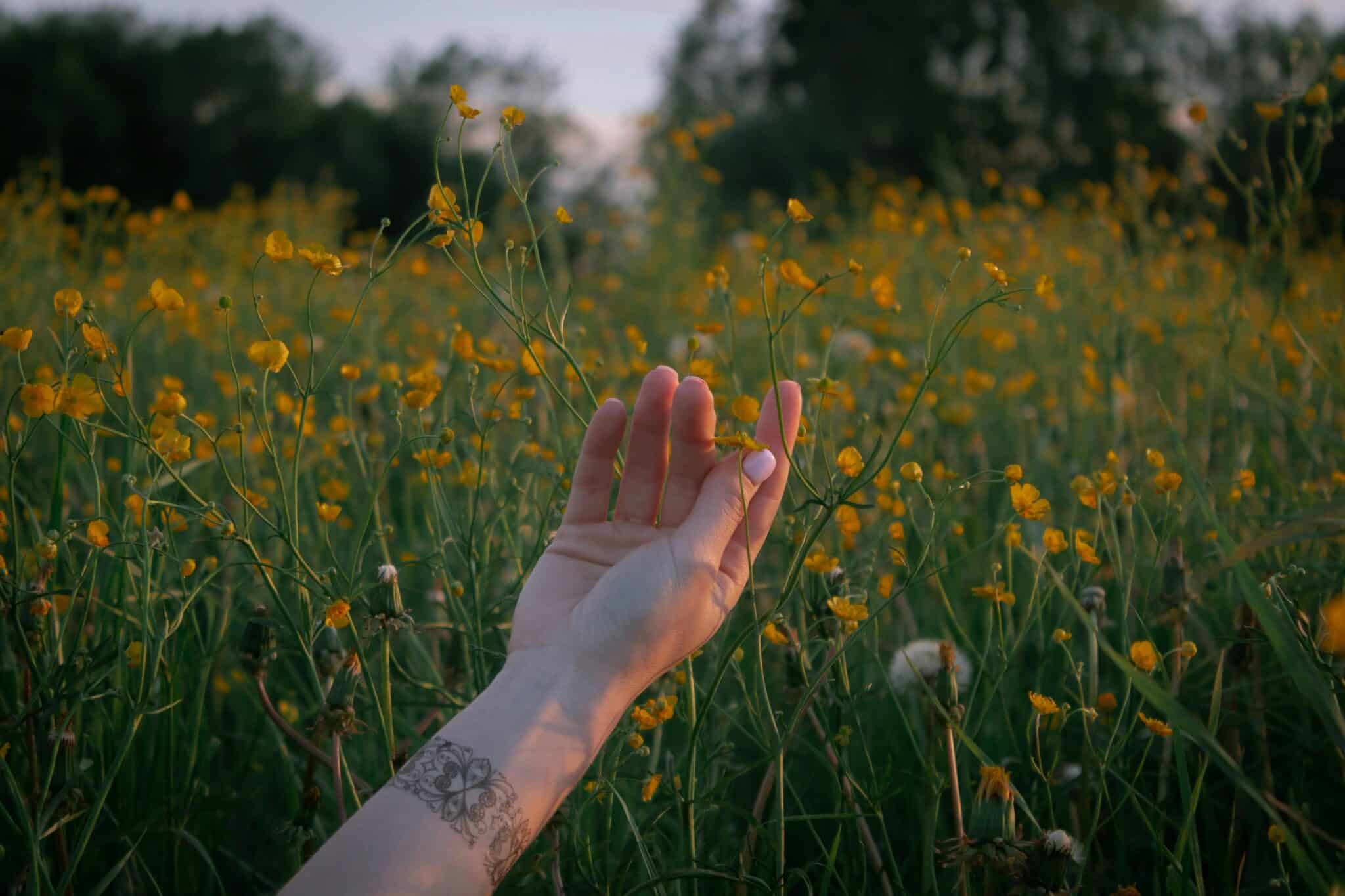 The Healing Strength Behind Tears: Embracing Emotional Release