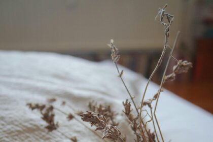How Self-Love Heals and Boosts Your Mental Health