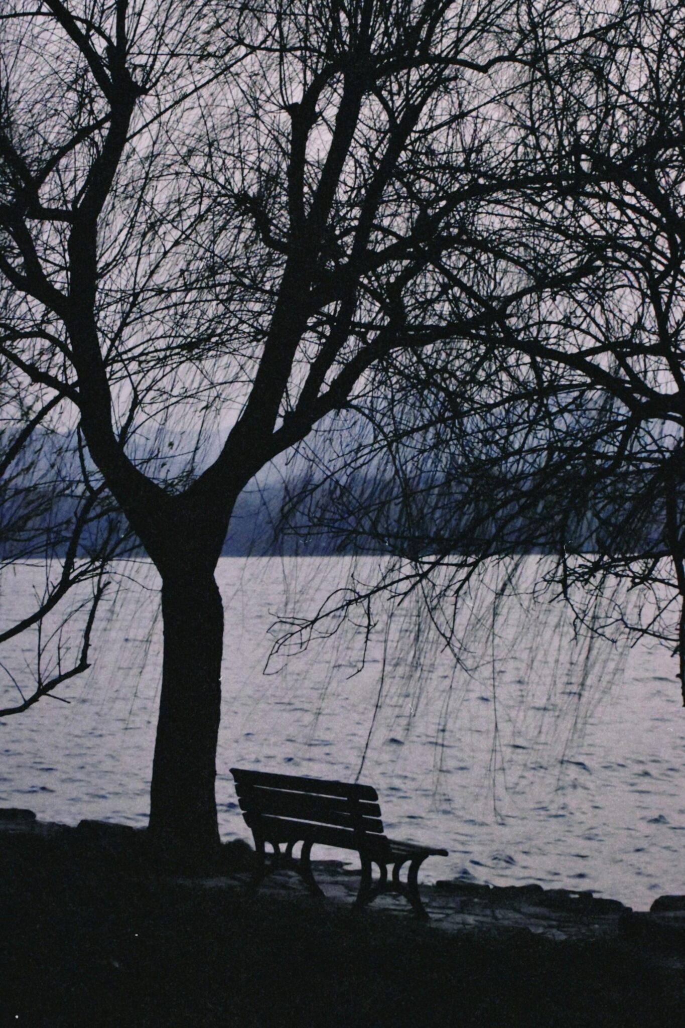 Embracing Stillness: Finding Peace in Waiting Moments