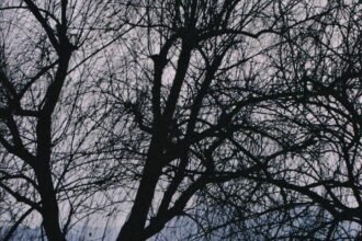 Embracing Stillness: Finding Peace in Waiting Moments