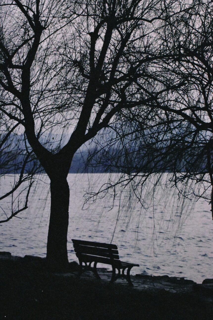Embracing Stillness: Finding Peace in Waiting Moments
