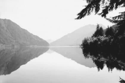 How Reflecting Deeply Fuels Your Habits to Thrive