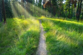 Setting Boundaries: Protect Your Healing Journey with Care