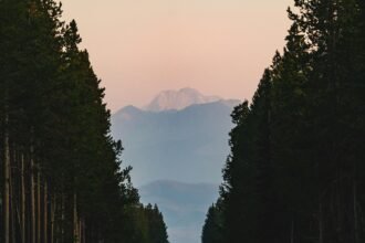 From Darkness to Light: My Journey to Real Living