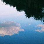 How Reflection Fuels Your Journey to Lasting Habits