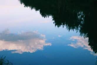 How Reflection Fuels Your Journey to Lasting Habits