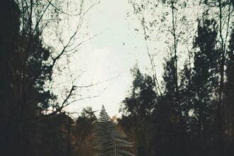 Letting Go: How to Release Control and Trust the Journey