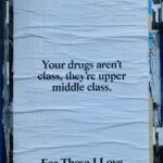 Align Your Life: Embrace the Power of Universal Laws