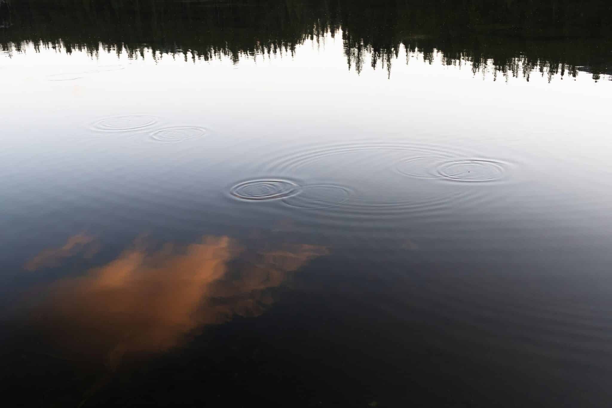 Finding Peace: Crafting Your Sacred Space for Reflection