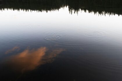 Finding Peace: Crafting Your Sacred Space for Reflection