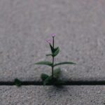 Breaking Free: Embrace Your Unique Journey, Not Comparison