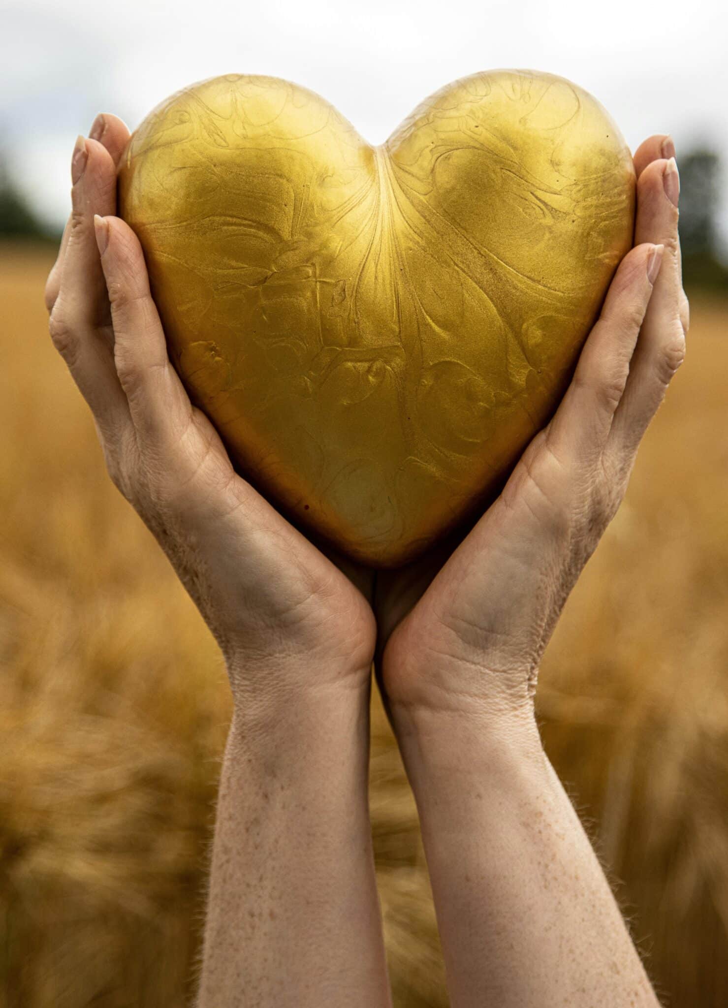 Awakening the Heart: Embracing Presence After Numbness