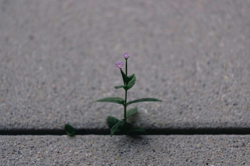 Why Purpose Is the Heartbeat of Lasting Growth