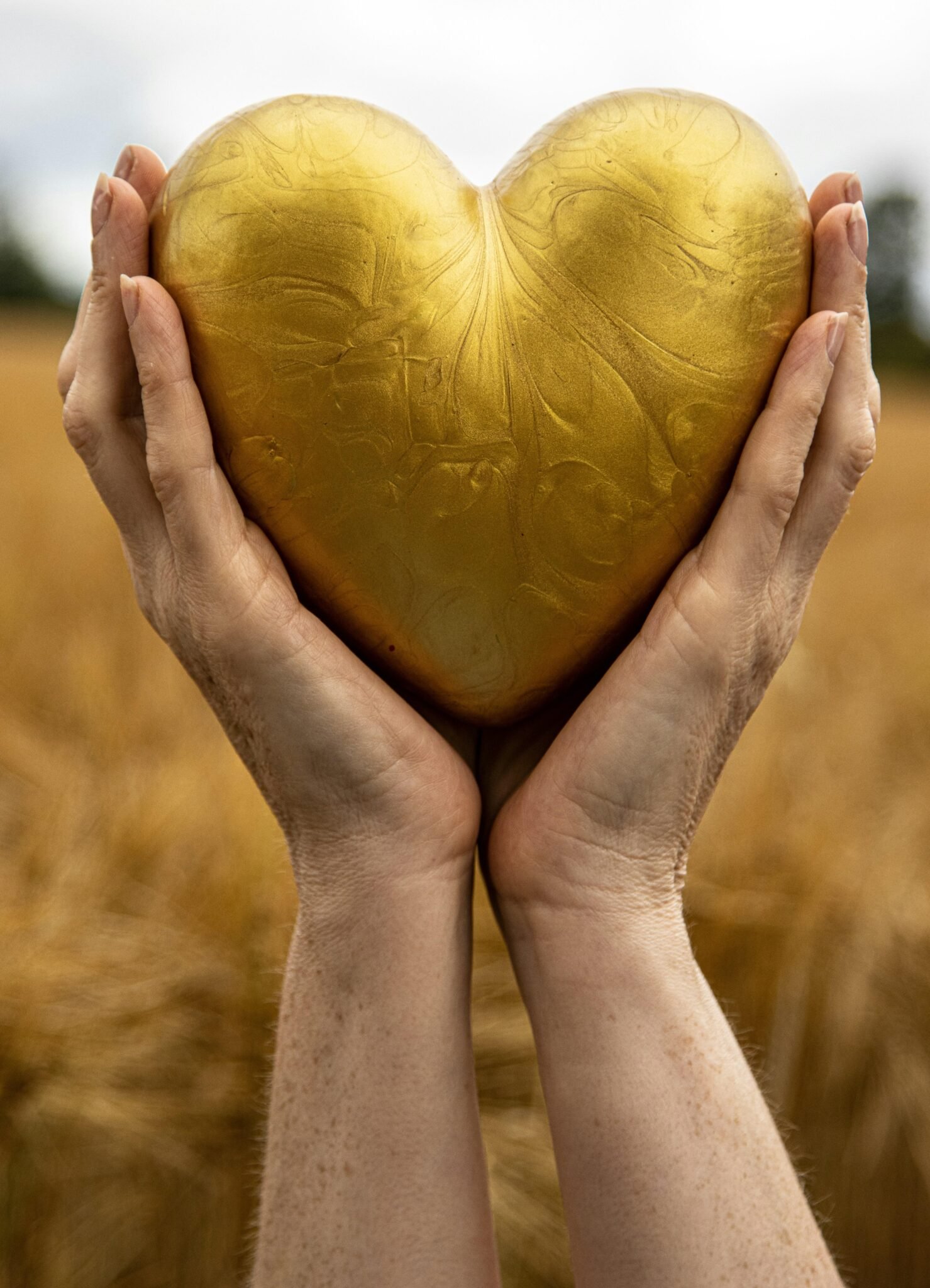 Healing Hearts: Embracing Boundaries on the Journey to Wholeness