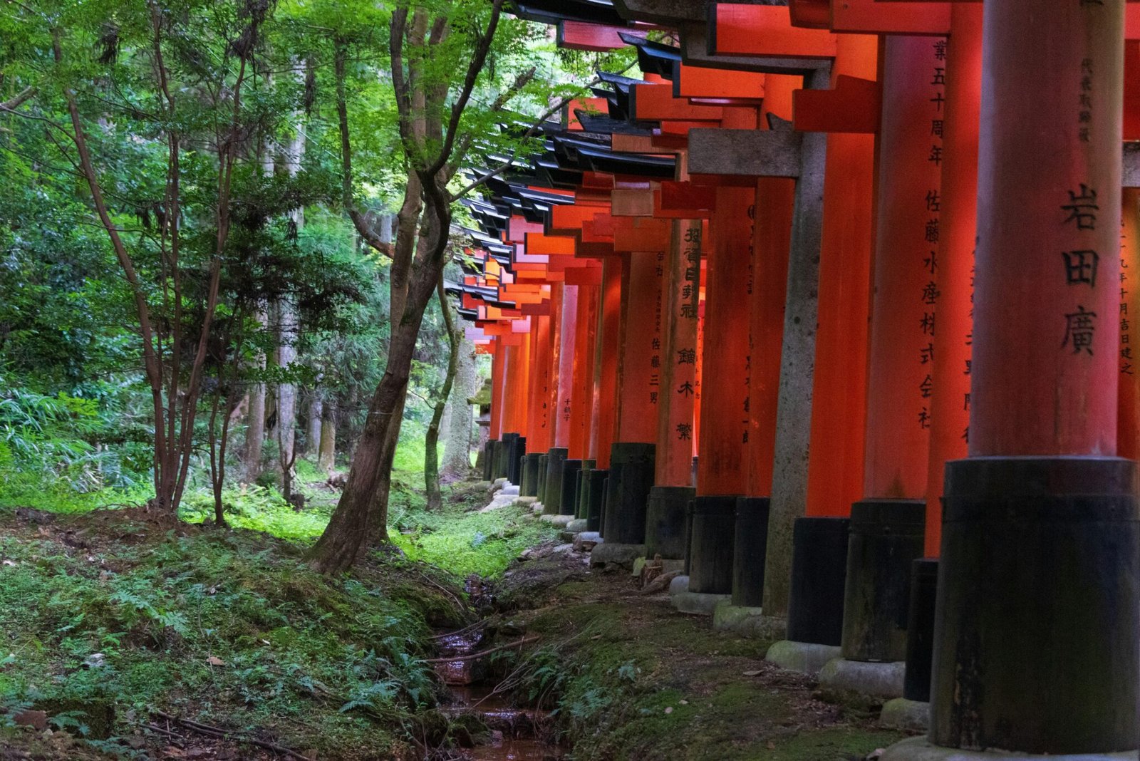 Finding Wisdom: How Nature Guides Our Spiritual Journey