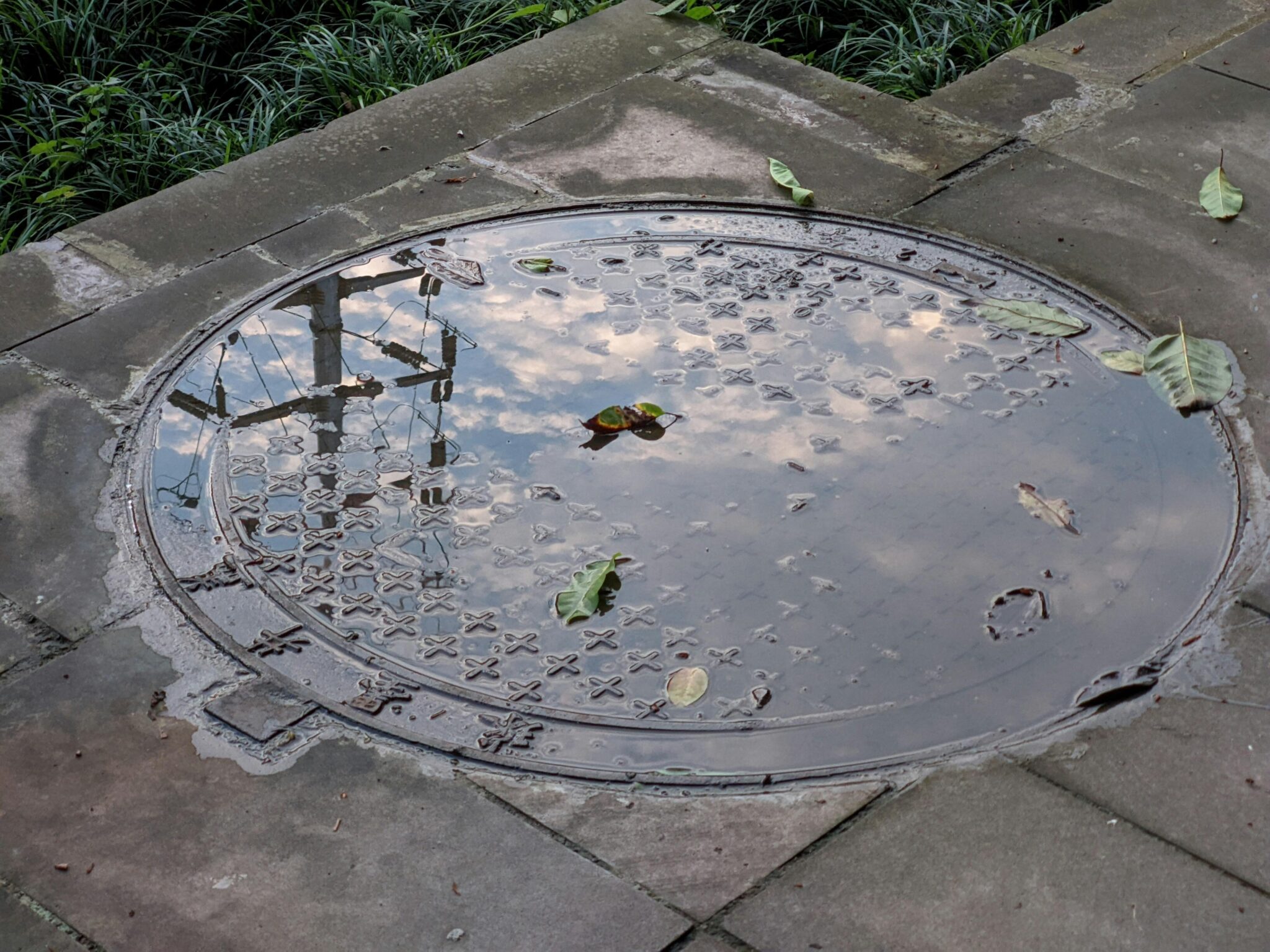 Nurturing Peace: Crafting Your Sacred Daily Reflection Spot
