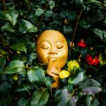 Daily Habits That Nurture Your Emotional Harmony